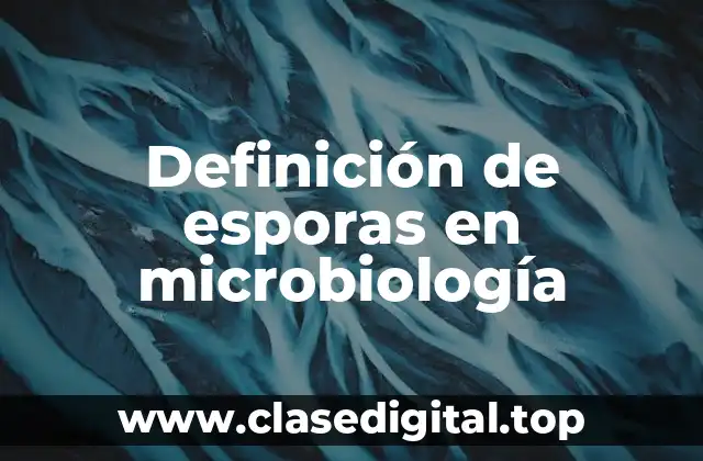 Definición de esporas en microbiología