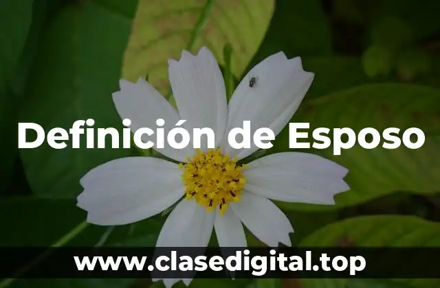 Definición de Esposo