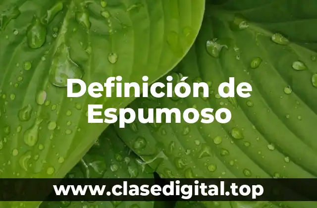 Definición de Espumoso