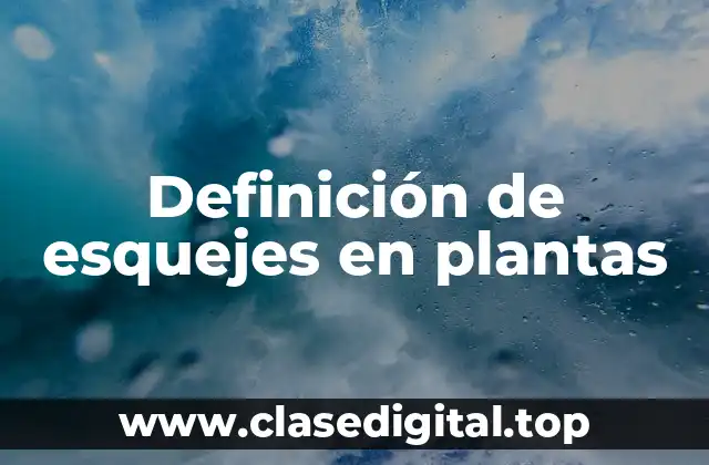 Definición de esquejes en plantas