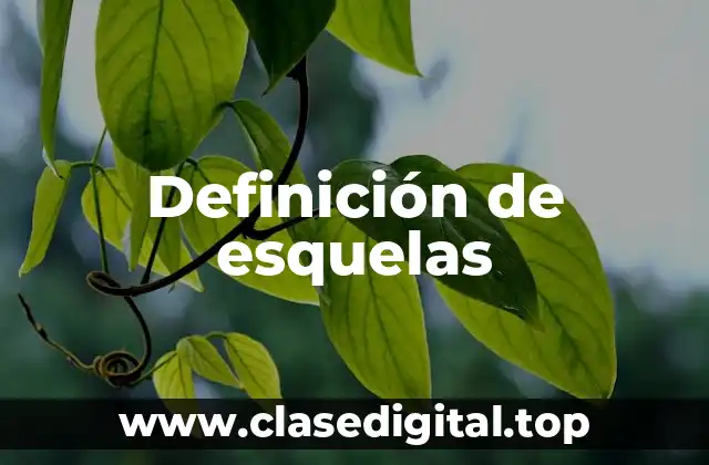 Definición de esquelas