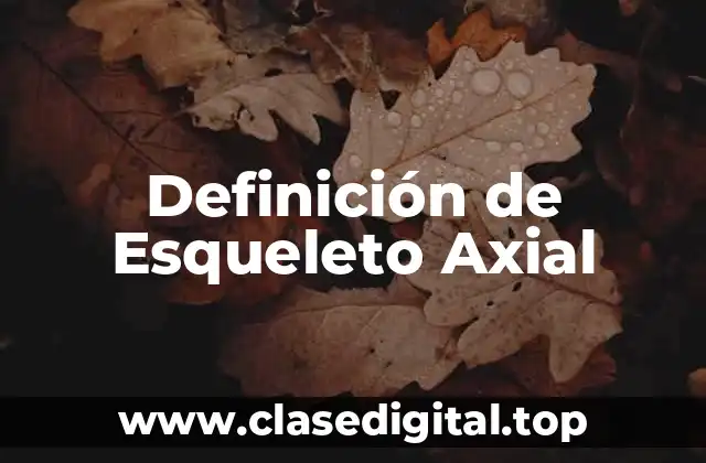 Definición Técnica de Esqueleto Axial