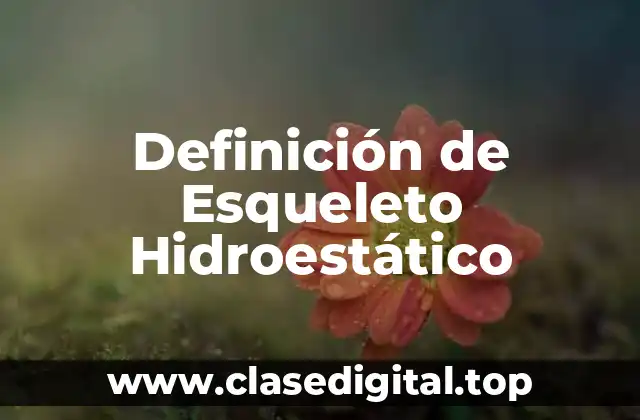 Definición de Esqueleto Hidroestático