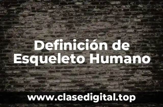 Definición de Esqueleto Humano