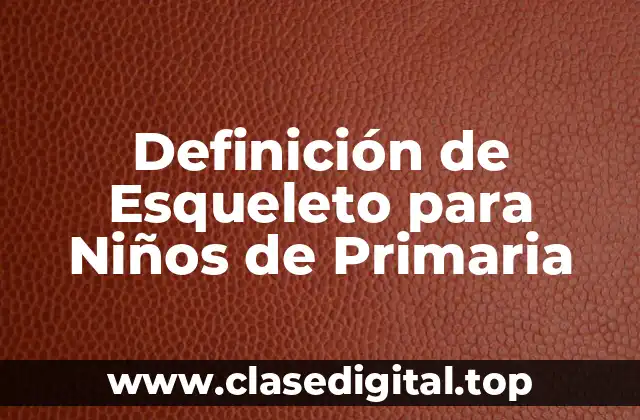 Definición de Esqueleto para Niños de Primaria