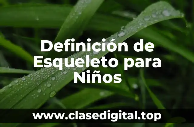 Definición de Esqueleto para Niños