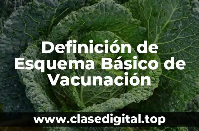 Definición de Esquema Básico de Vacunación