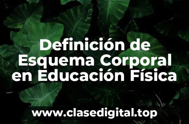 Definición de Esquema Corporal en Educación Física