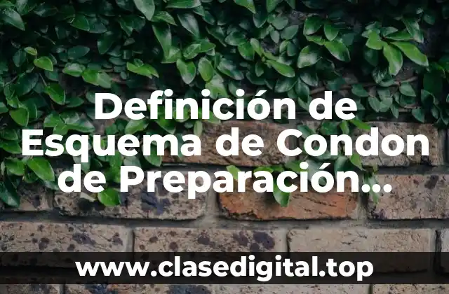 Definición de Esquema de Condon de Preparación Antibiótica