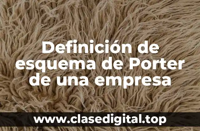 Definición de esquema de Porter de una empresa