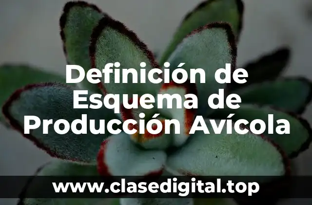 Definición de Esquema de Producción Avícola