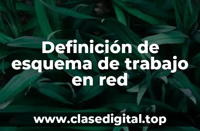 Definición de esquema de trabajo en red