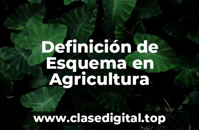 Definición de Esquema en Agricultura