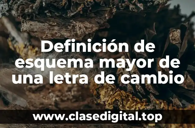 Definición de esquema mayor de una letra de cambio