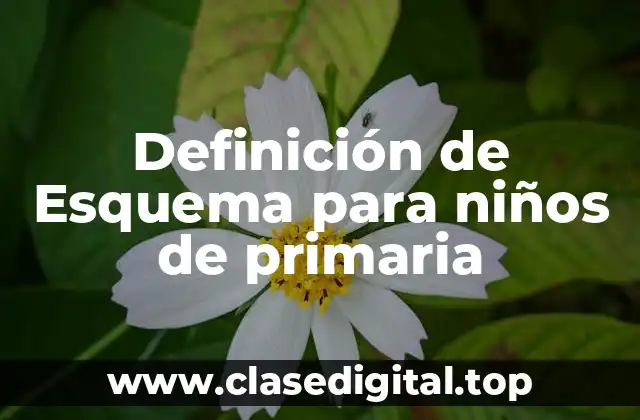 Definición de Esquema para niños de primaria