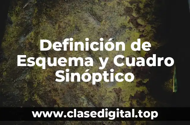 Definición de Esquema y Cuadro Sinóptico