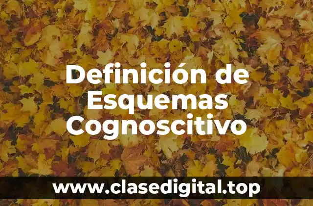 Definición de Esquemas Cognoscitivo