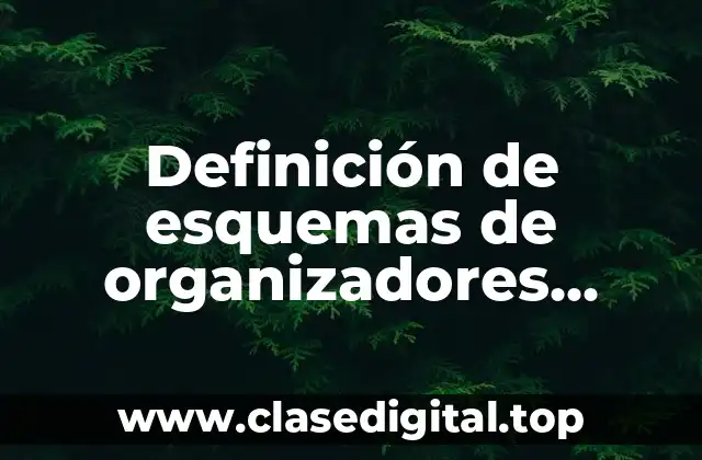 Definición de esquemas de organizadores gráficos