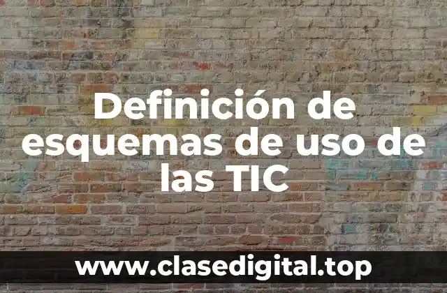 Definición de esquemas de uso de las TIC