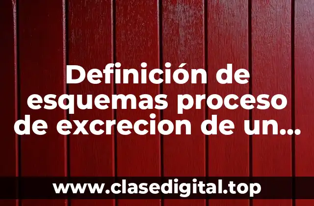 Definición de esquemas proceso de excrecion de un perro