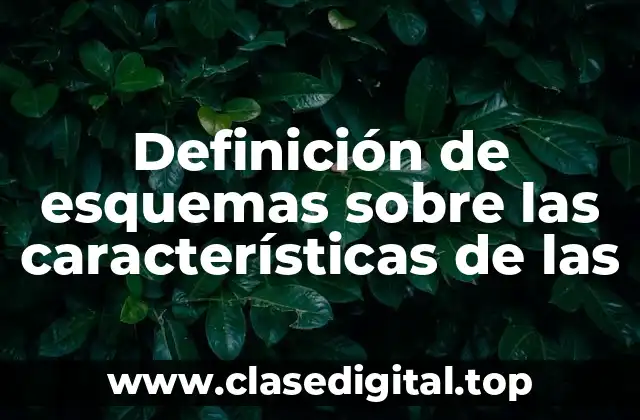 Definición de esquemas sobre las características de las