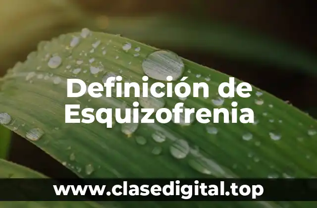 Definición de Esquizofrenia