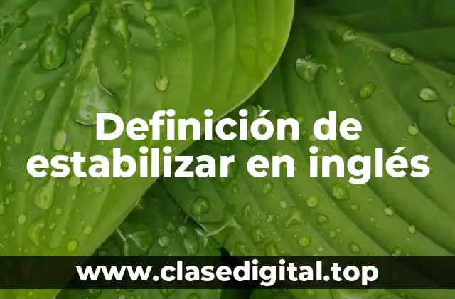 Definición de estabilizar en inglés