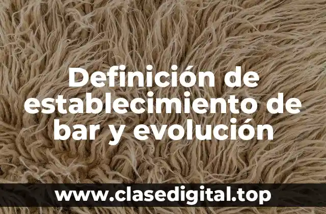 Definición técnica de establecimiento de bar