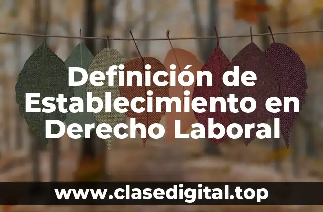 Definición de Establecimiento en Derecho Laboral