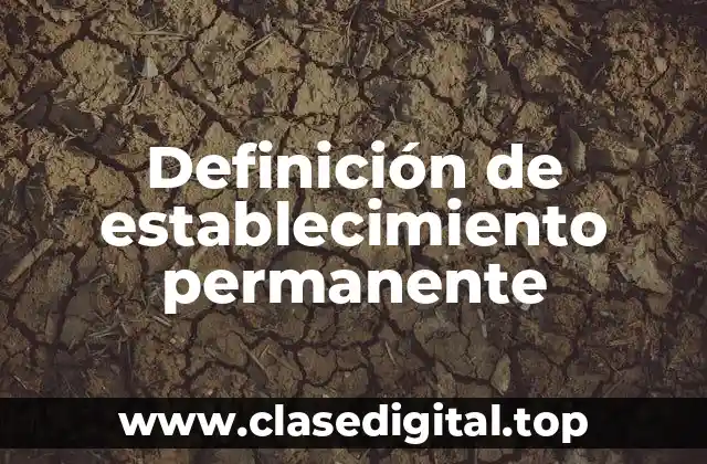 Definición técnica de establecimiento permanente