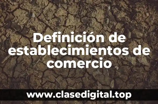 Definición de establecimientos de comercio