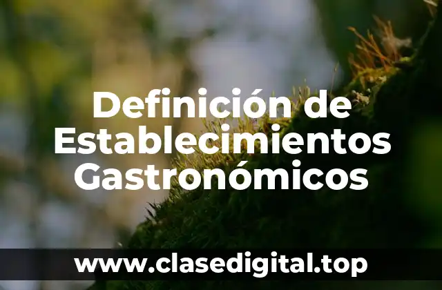 Definición de Establecimientos Gastronómicos