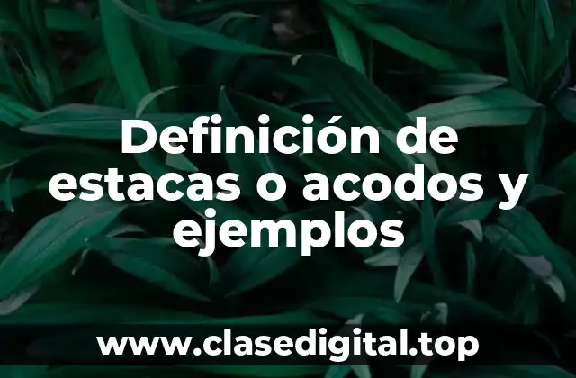 Definición de estacas o acodos y ejemplos
