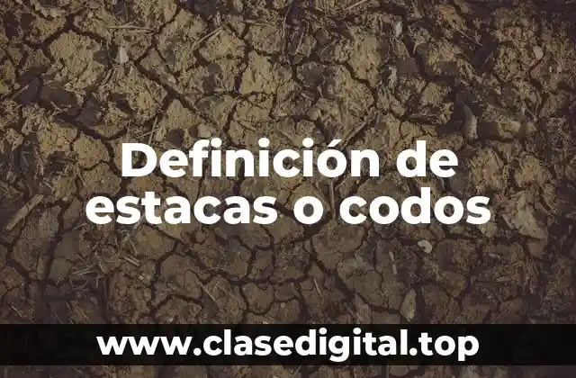 Definición de estacas o codos