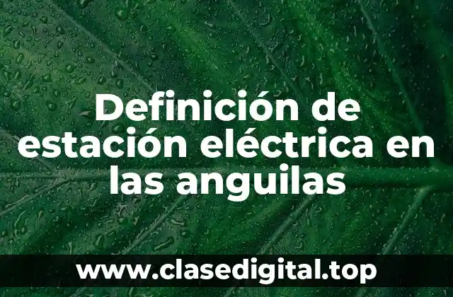 Definición de estación eléctrica en las anguilas