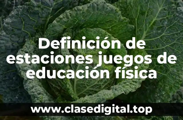 Definición de estaciones juegos de educación física