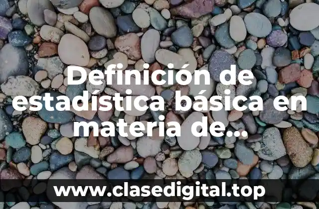 Definición de estadística básica en materia de seguridad pública