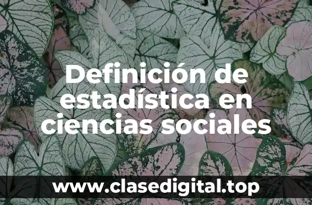 Definición de estadística en ciencias sociales