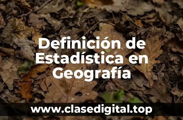 Definición de Estadística en Geografía