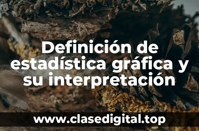 Definición de estadística gráfica y su interpretación