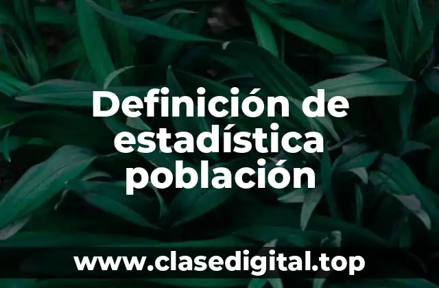 Definición técnica de estadística población