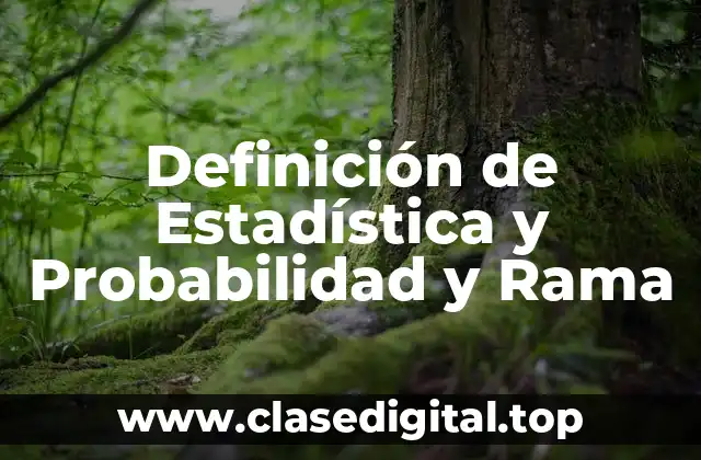 Definición de Estadística y Probabilidad y Rama
