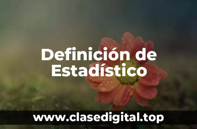 Definición de Estadístico