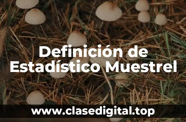 Definición de Estadístico Muestrel