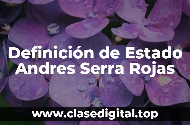 Definición de Estado Andres Serra Rojas