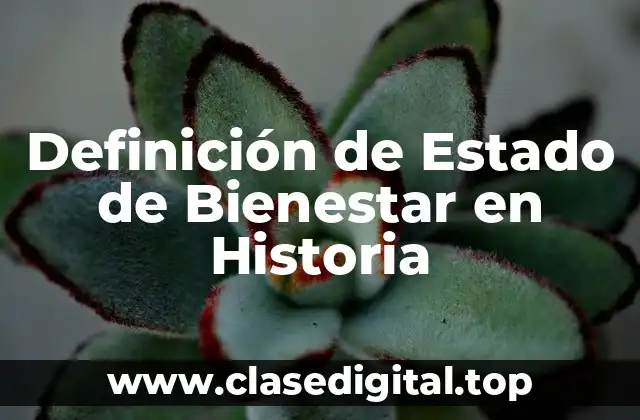 Definición de Estado de Bienestar en Historia
