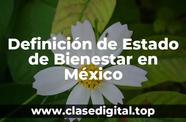 Definición de Estado de Bienestar en México