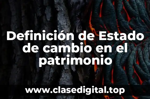 Definición de Estado de cambio en el patrimonio