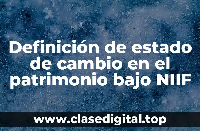 Definición de estado de cambio en el patrimonio bajo NIIF