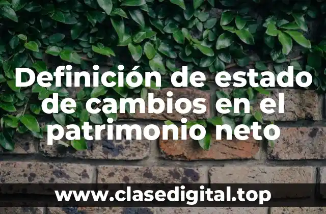 Definición de estado de cambios en el patrimonio neto